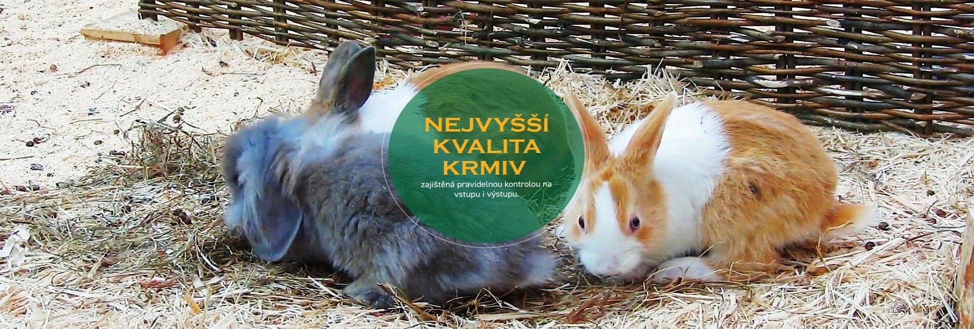 Krmivá ENERGYS