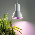 Lampa na osvetlenie rastlín L15, 15W