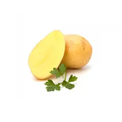 Sadbové zemiaky