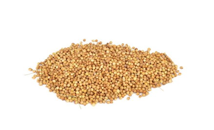 Semienka koriandra 1 kg