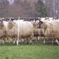 Sieť pre ovce, výška 90cm - 50m