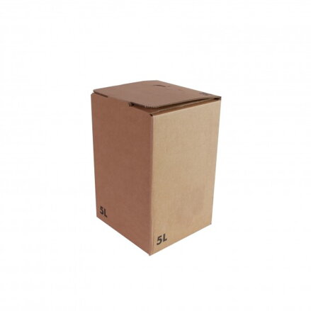 Box - kartón, hnedý 5l - 1ks