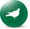 Kvalitné krmivá ENERGYS pre hospodárske zvieratá ako sú holuby.
