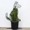 Topiary