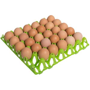 Podnos pre 30 slepačích vajec